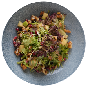 Garden Salad